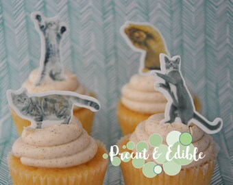 24 cat cupcake topper, kitten cupcake topper,edible & precut, cats, birthday topper, cat cake, kitty topper, edible cupcake topper