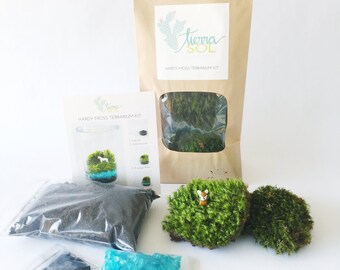 DIY Terrarium Kit - Deer Moss Terrarium Kit Fawn