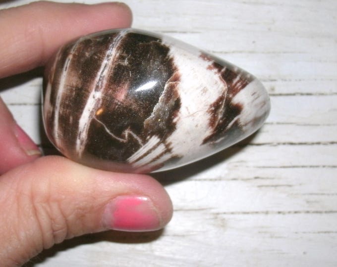 GORGEOUS contrasting Petrified Wood Palm Stone, Polished ,agatized wood, 122g / 4.3 oz., opalized, reiki, chakra, gift for collector,