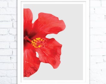 Red digital print, wall art, Flower art print, Summer Trends, Botanical Decor, Flower Prints,Flower Art Prints, Nature Art Print,Red Flower