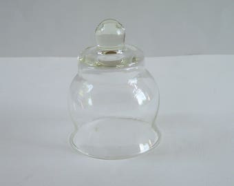 Glass cloche vintage