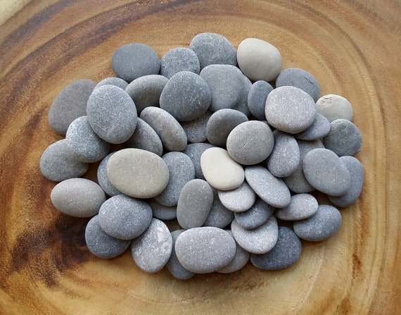 50 Flat Beach Stones 1.5 2 cm Round Perfect Pebble Ontario