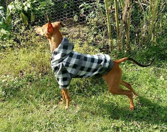 Italian Greyhound Hoodie for IGGYs and other custom pups in your life.