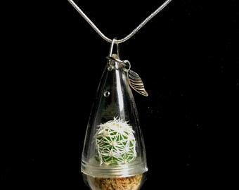 Cactus Necklace / Moonlight Cactus / Terrarium Necklace / Miniature Terrarium / Wearable Cactus / Live Cactus Jewelry