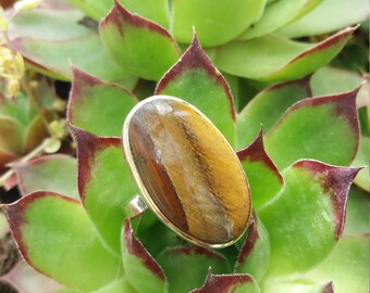 silver ring pura.joyeria with preciosas.ojo of tigre.piedras of power stones, curativa.boho.elegante.ajustables.etnica.Gipsy.fiesta.