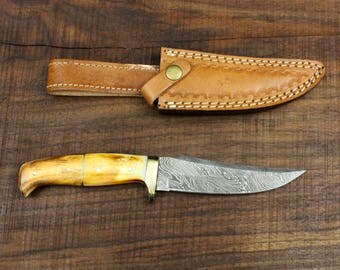 Pirate No. 1 - Damascus Knife with Burnt Camel Bone Scales and Solid Brass Guard 10.5" hunting/bushcraft