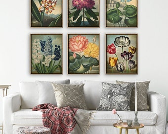 BOTANICAL print SET of 6 art prints, flower posters set, plants, botanical poster, instant collection, flower poster, flowers print set,