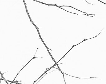 Twig Wall Art branch wall art | etsy Twig Wall Art branch wall art | etsy