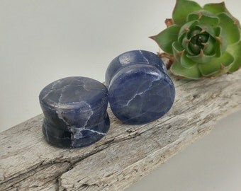 Iolite plugs, 5/8" Handmade Iolite plugs, 16mm handmade stone plugs, 5/8" stone tunnels, 16mm stone ear gauges, handmade Victoria bc, plugs