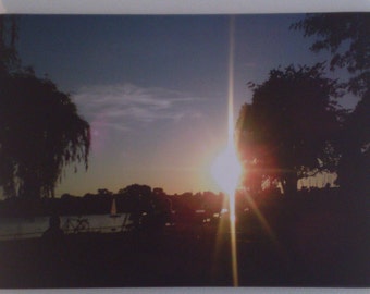 Alster meadows.