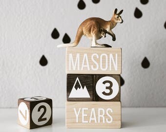 Milestone Block, Nursery, Baby Age Blocks, Wooden Age Blocks, Baby Month Blocks, Pregnancy photo prop, Maternity photo prop, baby shower