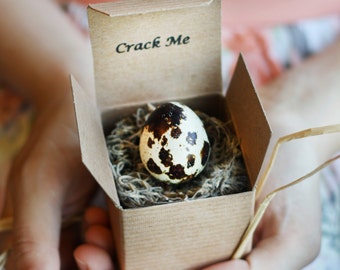 Crack Me! Pregnancy Announcement Quail Egg - Father's Day - Dad - Boy Girl - Gender Reveal - Baby Shower Invitation - Custom Unique Summer