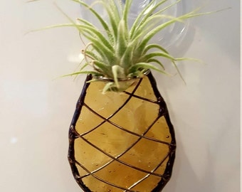 Pineapple Air Plant Holder
