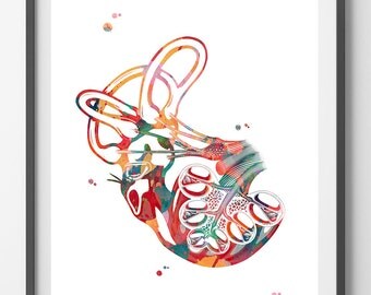 Cochlea of Inner ear watercolor print anatomy art vestibular system inner ear structure cochlea poster cochlea print audiology poster