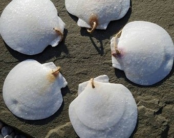 5 Shimmering Scallop Shells Beach Decor, Christmas Tree Shell Ornaments, Glittering Shells, Beach Wedding Centerpiece Accents, Aisle Runner