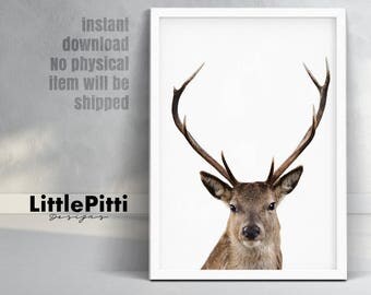 Deer head and antlers, deer wall art, large digital download, woodland nursery, woodlands decor, deer photo, nursery print, woodland animal