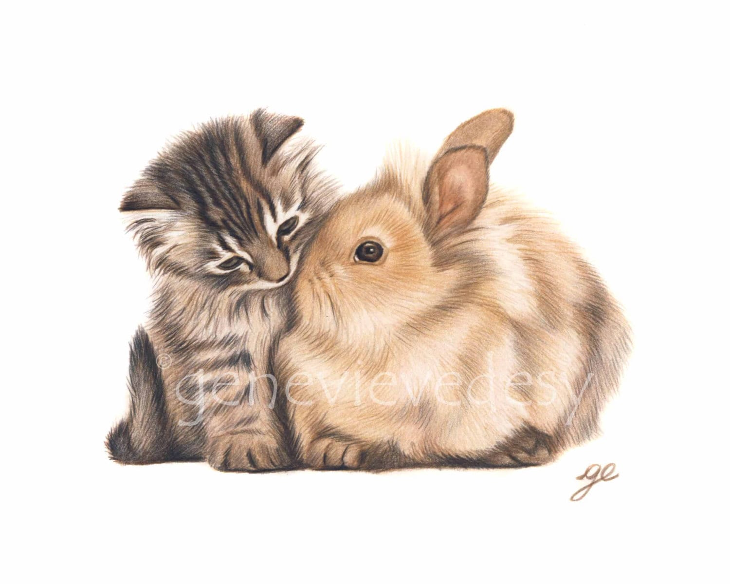 Original drawing of a bunny and cat Bunny and kitten drawing