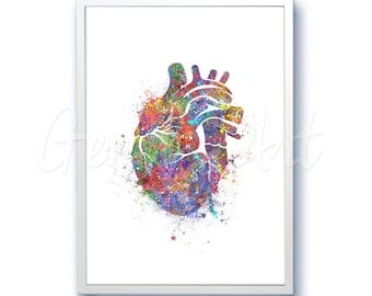 Heart Watercolor Art Print - Heart Anatomy Watercolor Art Painting - Anatomy Poster - Science Art - Anatomy Art