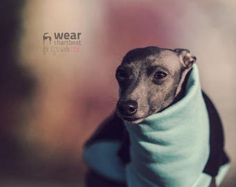 Italian greyhound clothing - blue comfortable jumper for iggy / fits perfect