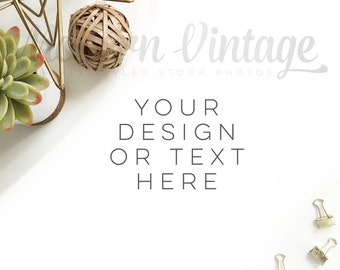 Feminine Styled Stock Photo - social media - Cactus - Succulent - Modern Vintage theme - Gold geometric - clip - gcmv_43