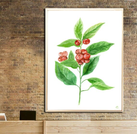 Pflanze print coffee leaf aquarell print kaffeepflanze malerei