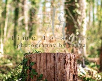Tree Stump, Woods, Newborn, Digital Background, Photography, Photoshop, Composite, Digital Art, Digital Backdrop