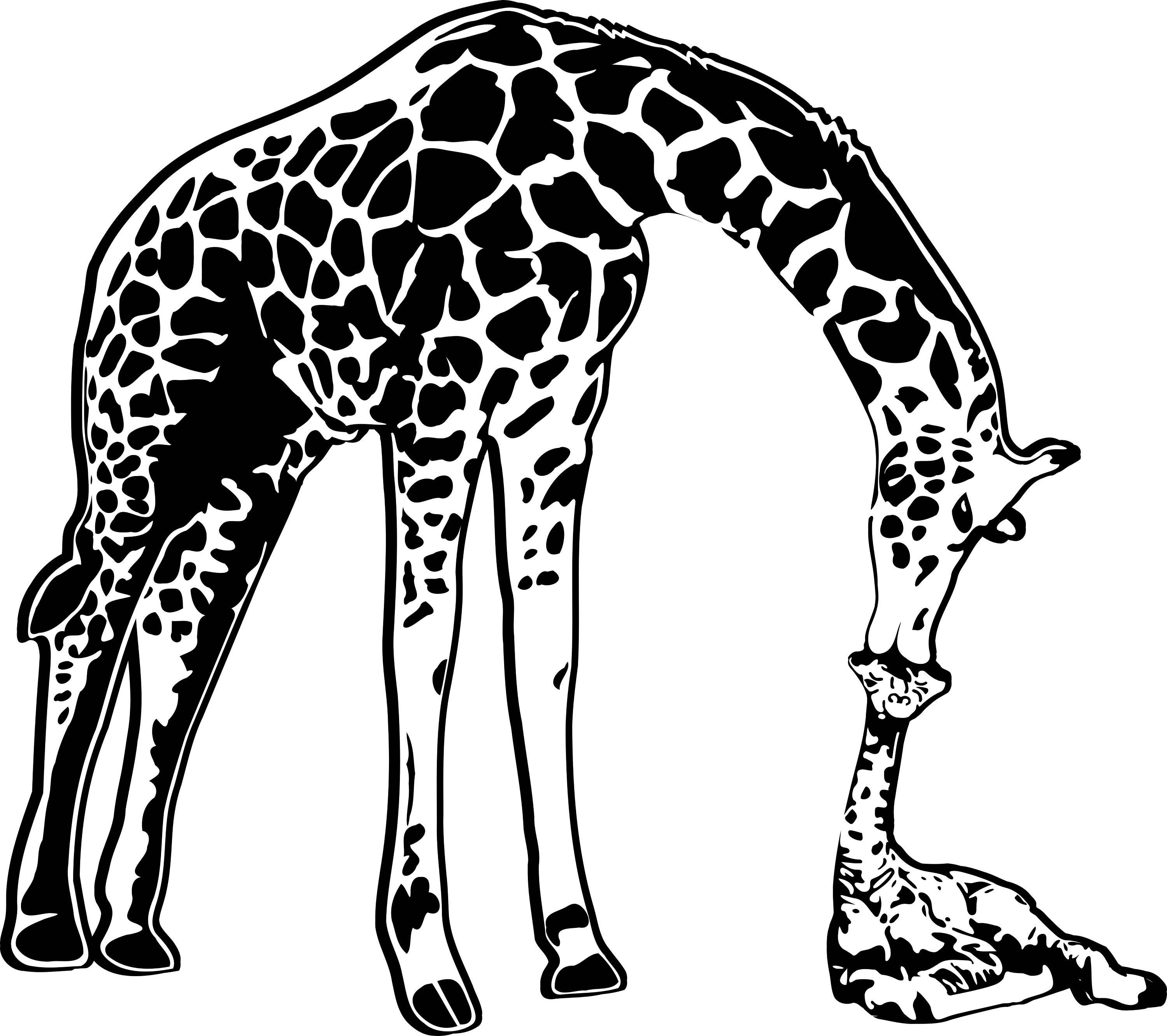 Free Free 64 Baby Giraffe Mandala Svg SVG PNG EPS DXF File