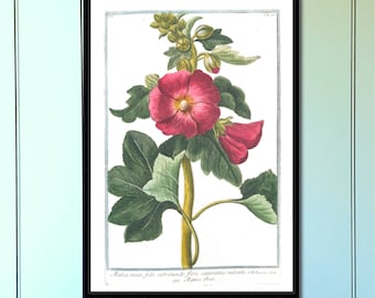 Items similar to Botanical Illustration 182, botanical print up cycled