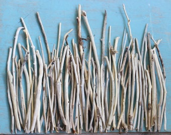 Large Collection of 66 Driftwood Sticks/ Branches Collection to Create Beach Centerpieces and Wedding Decoration , Coastal Home DB66