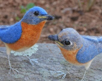 Mr. OR Mrs.Eastern Bluebird, needle felted bird sculpture