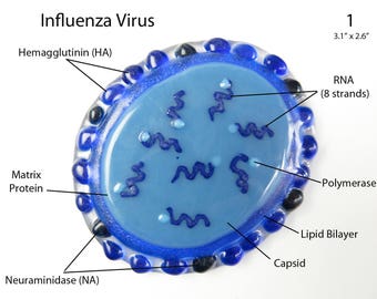 Influenza Virus  Fused Glass Ornament or Bottle Stopper or Belt Buckle