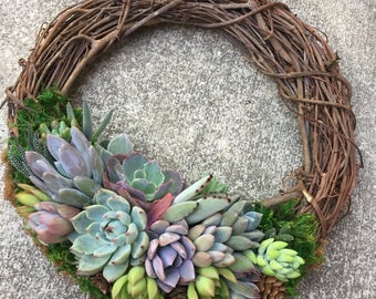 12" Succulent Wreath (made to order)