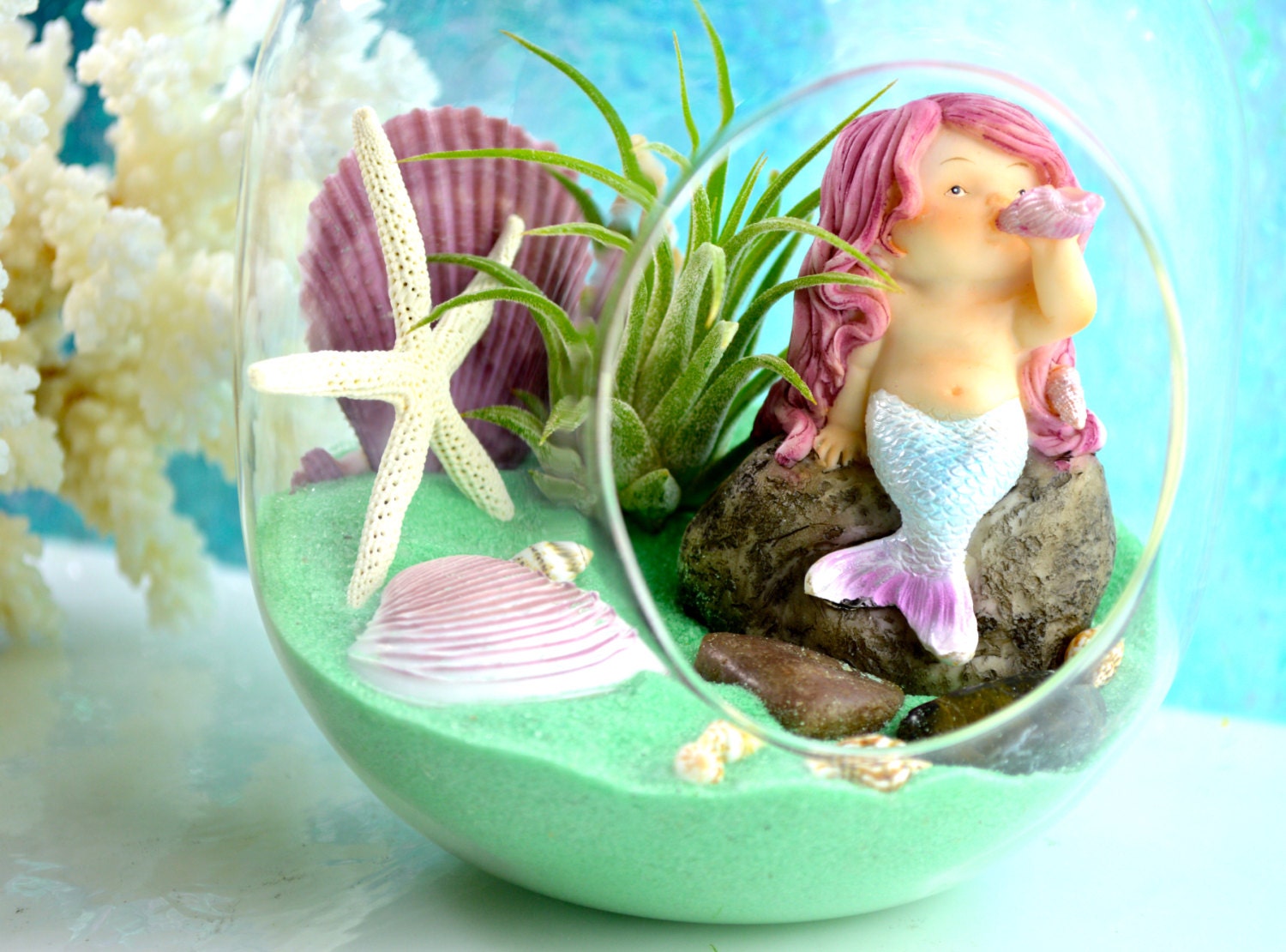 Mermaid Terrarium Kit Small Bullet Terrarium with Air Plant