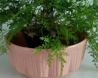 Peach Pink Haeger Planter
