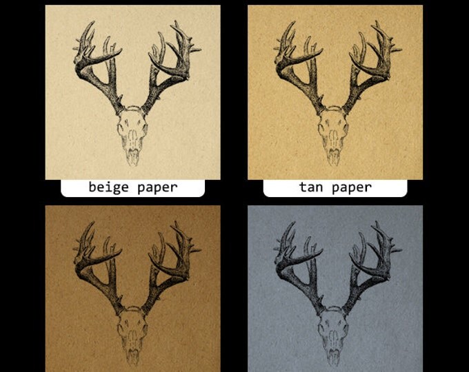 Printable Deer Skull Graphic Deer Digital Image Antlers Illustration Download Image Antique Vintage Clip Art Jpg Png Eps HQ 300dpi No.1248