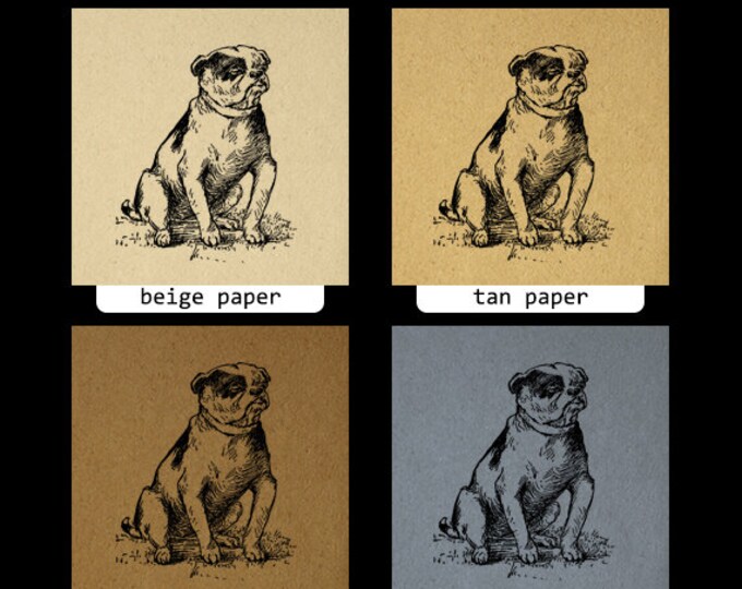 Digital Printable Bulldog Graphic Dog Image Download Vintage Clip Art Jpg Png Eps HQ 300dpi No.263