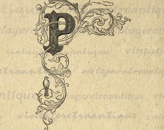 Elegant Letter P Digital Graphic Image Floral Design Printable Download Antique Clip Art Jpg Png Eps HQ 300dpi No.795