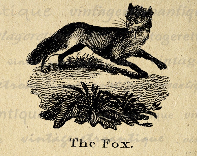 Printable Digital Antique Fox Illustration Graphic Image Animal Download Vintage Clip Art Jpg Png Eps HQ 300dpi No.930