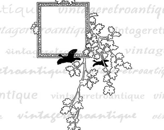 Birds Frame Printable Graphic Digital Design Element Download Image Vintage Clip Art Jpg Png Eps HQ 300dpi No.2113