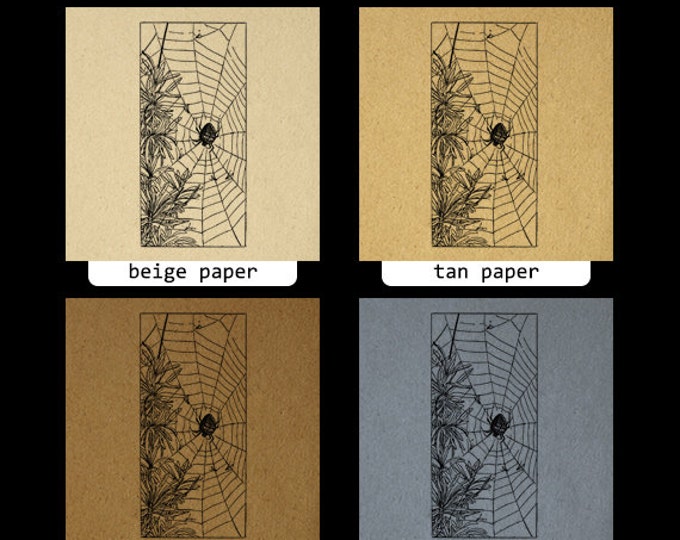 Spider on Spider Web Image Graphic Download Digital Spiderweb Printable Antique Clip Art Jpg Png Eps HQ 300dpi No.2536