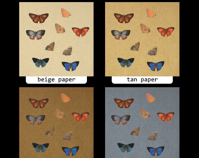 Printable Images Butterflies Collage Sheet Digital Color Download Graphic Antique Clip Art HQ 300dpi No.818