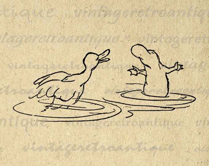 Digital Image Duck and Platypus Download Graphic Cartoon Illustration Printable Vintage Clip Art Jpg Png Eps HQ 300dpi No.1824