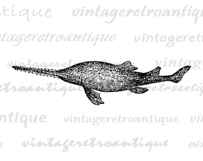 Saw Fish Printable Digital Image Ocean Sea Download Graphic Antique Clip Art Jpg Png Eps HQ 300dpi No.589