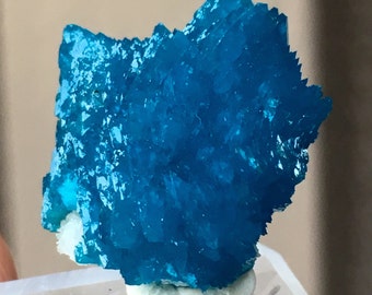 Top Quality XL 18.1ct Cavansite Crystal Specimen - Wagholi Mine, Maharashtra, India - Item:CV16068