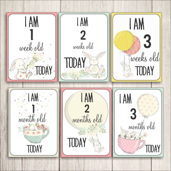 baby-milestone-cards-milestone-cards-pregnancy-cards-bunny