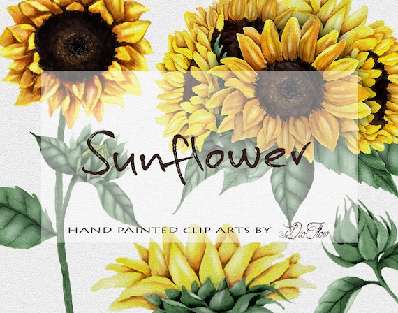 Download Watercolor Sunflower Clipart Clip Art Summer Sun Flower ...