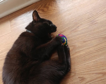 Catnip toys. Two pack of multicolored catnip balls.