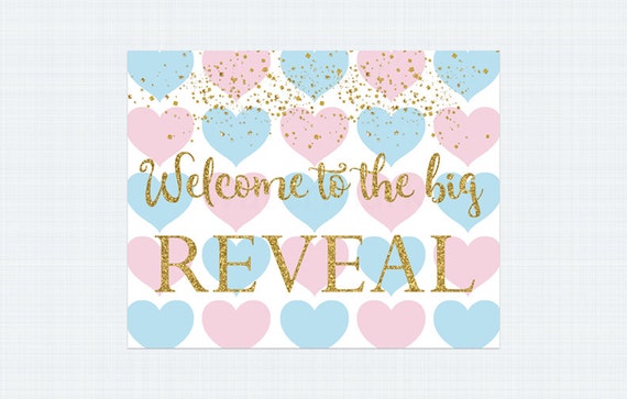 Items Similar To Gender Reveal Sign Gender Reveal Welcome Sign Pink And