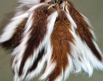 Deer Tails, Ready to Wear!