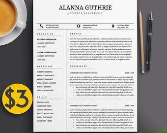 2 page resume templates
